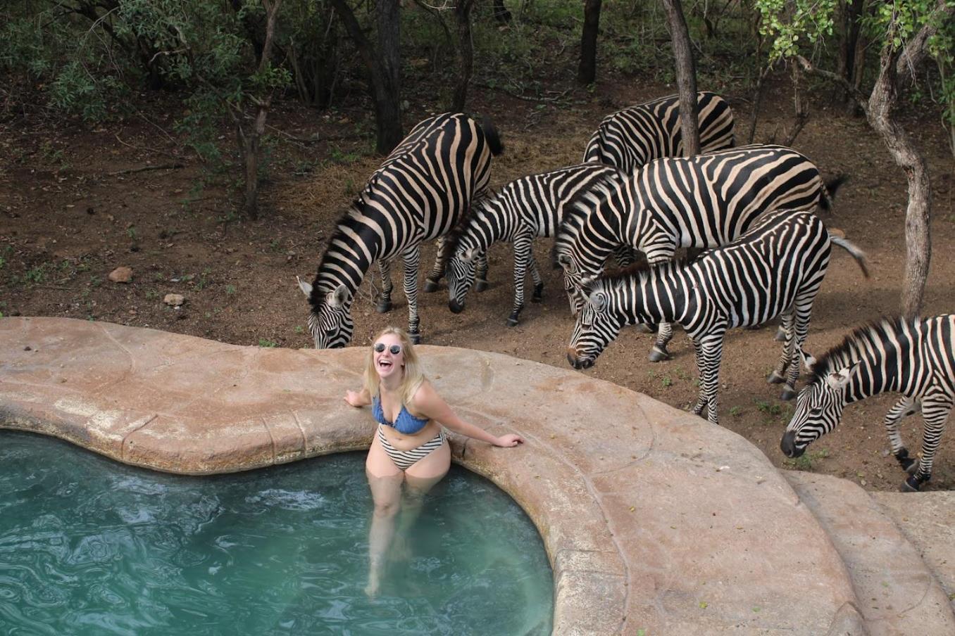 מרלות' פארק Kruger Park Hostel מראה חיצוני תמונה