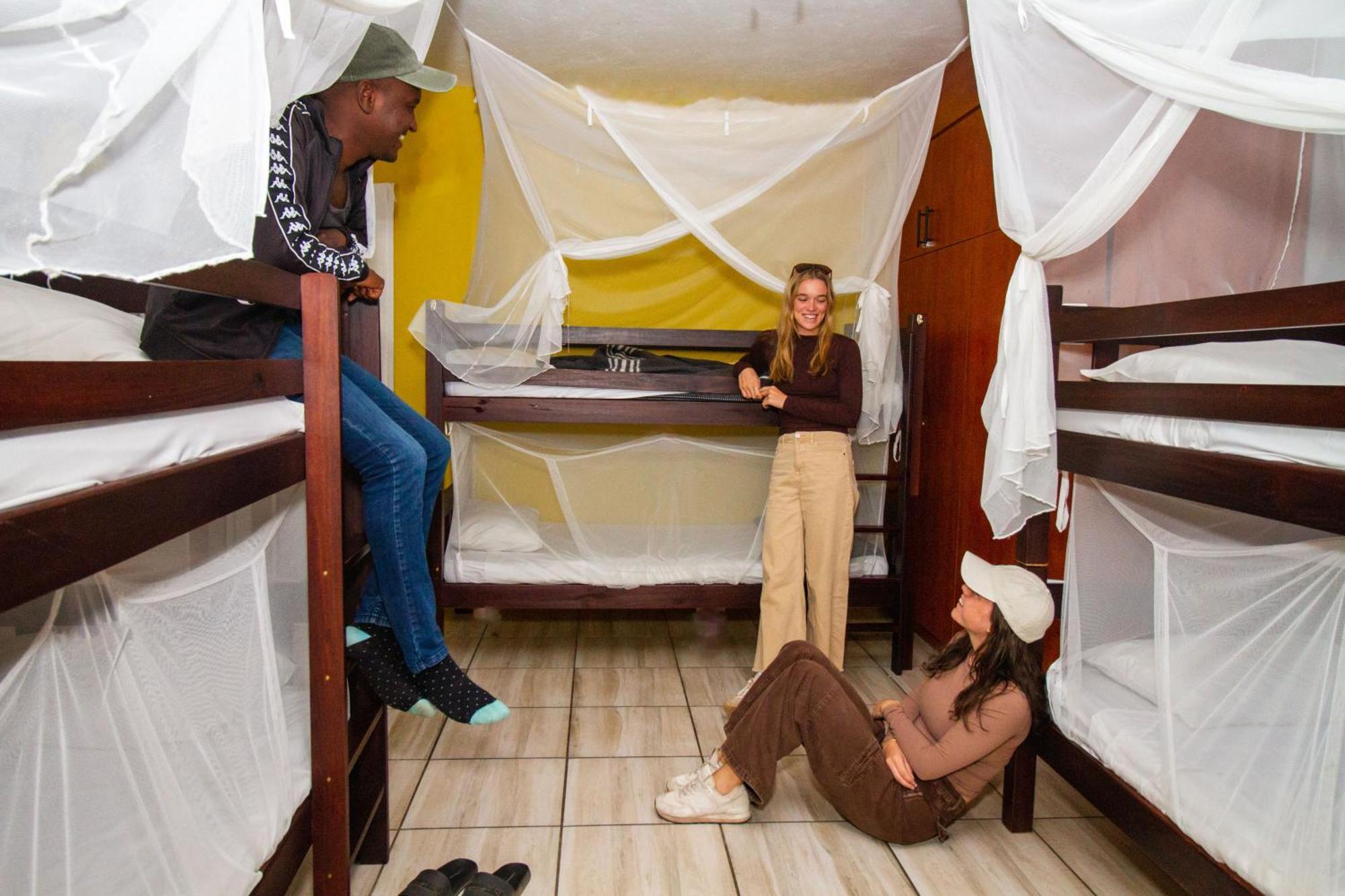 מרלות' פארק Kruger Park Hostel מראה חיצוני תמונה