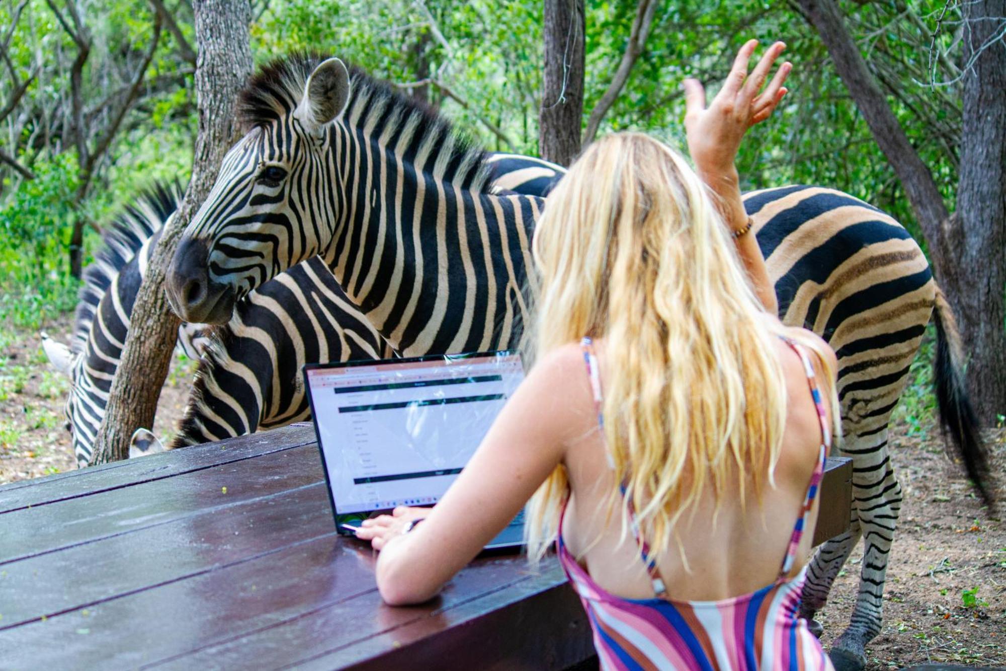 מרלות' פארק Kruger Park Hostel מראה חיצוני תמונה